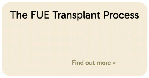 The FUE Treatment steps